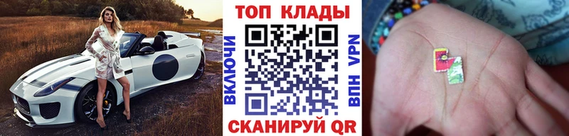 Где купить наркотики Заволжск Псилоцибиновые грибы COCAIN A PVP МЕФ Бошки Шишки
