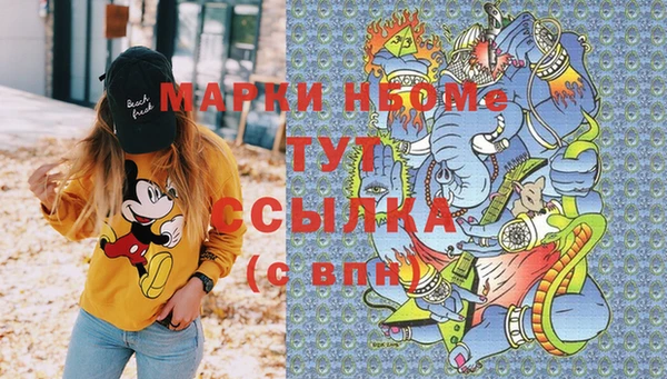 стафф Зеленокумск